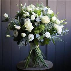 wonderful white