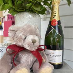 Teddy and champagne 