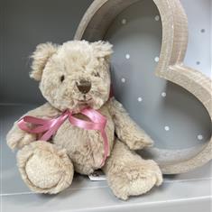Small Teddy