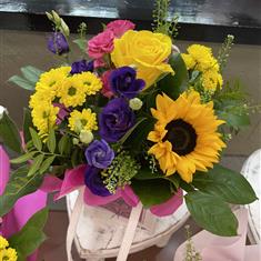 Sunshine brights