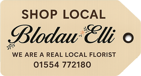 Shop Local Send Flowers Llanelli